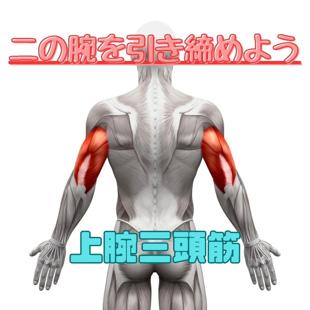 【女性向け】パーソナルトレーニングで二の腕引き締め｜名古屋市CRYSTALFit