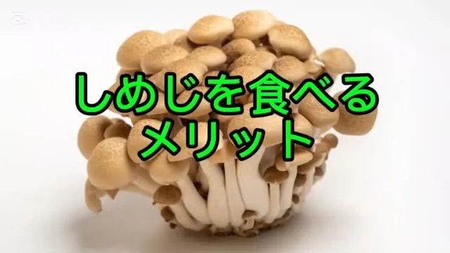 夏に向けてダイエットして楽しく夏を迎えたい人へ！